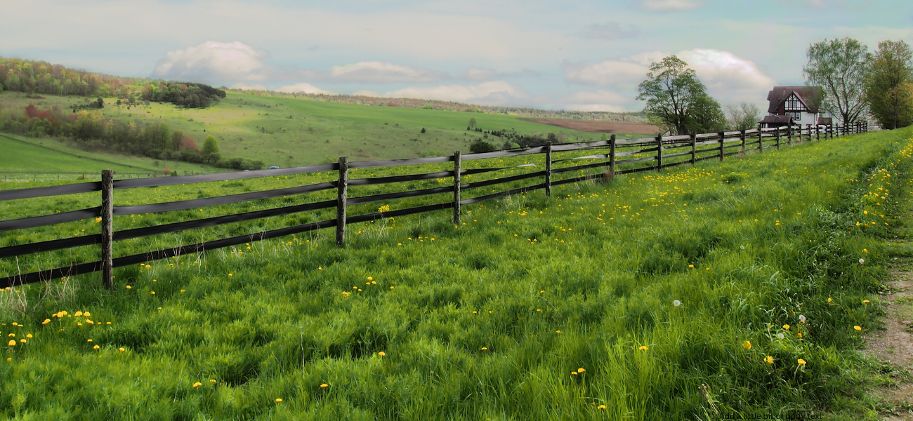 Add a little bit of body text