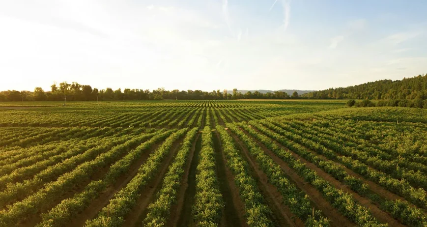 There are many variations of passages of Lorem Ipsum available, but majority have suffered teration in some form, by injected humour, or randomised words which don't look even slight believable. If you are going to use a passage of Lorem Ipsum.