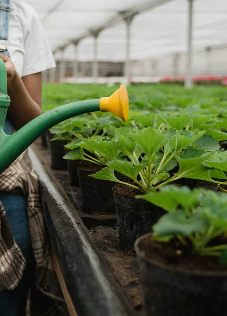 Organic farms avoid toxic inputs, improve soil health, grow clean, sustainable food that supports nature.