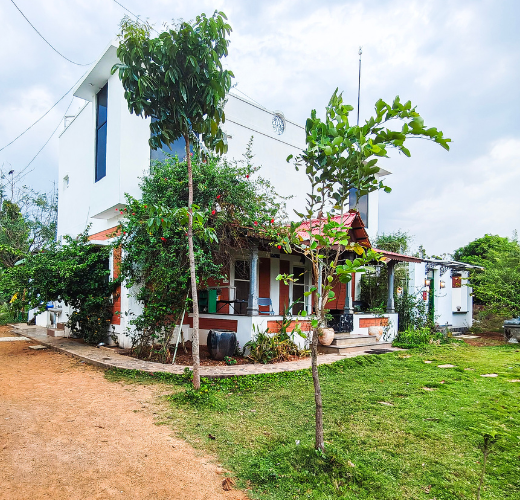 Main Home